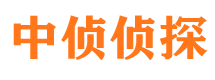 贵德市调查公司